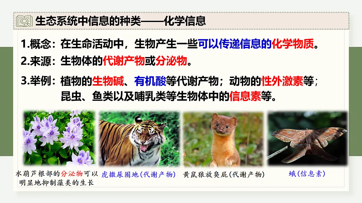 17282433第7页