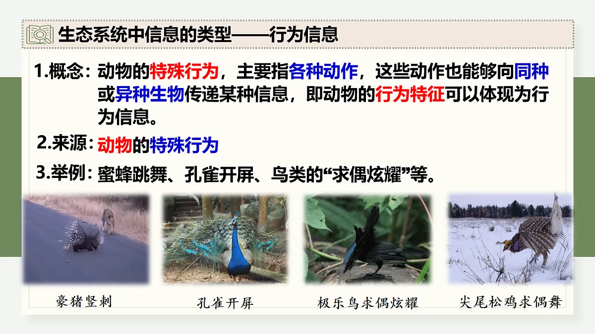 17282433第8页