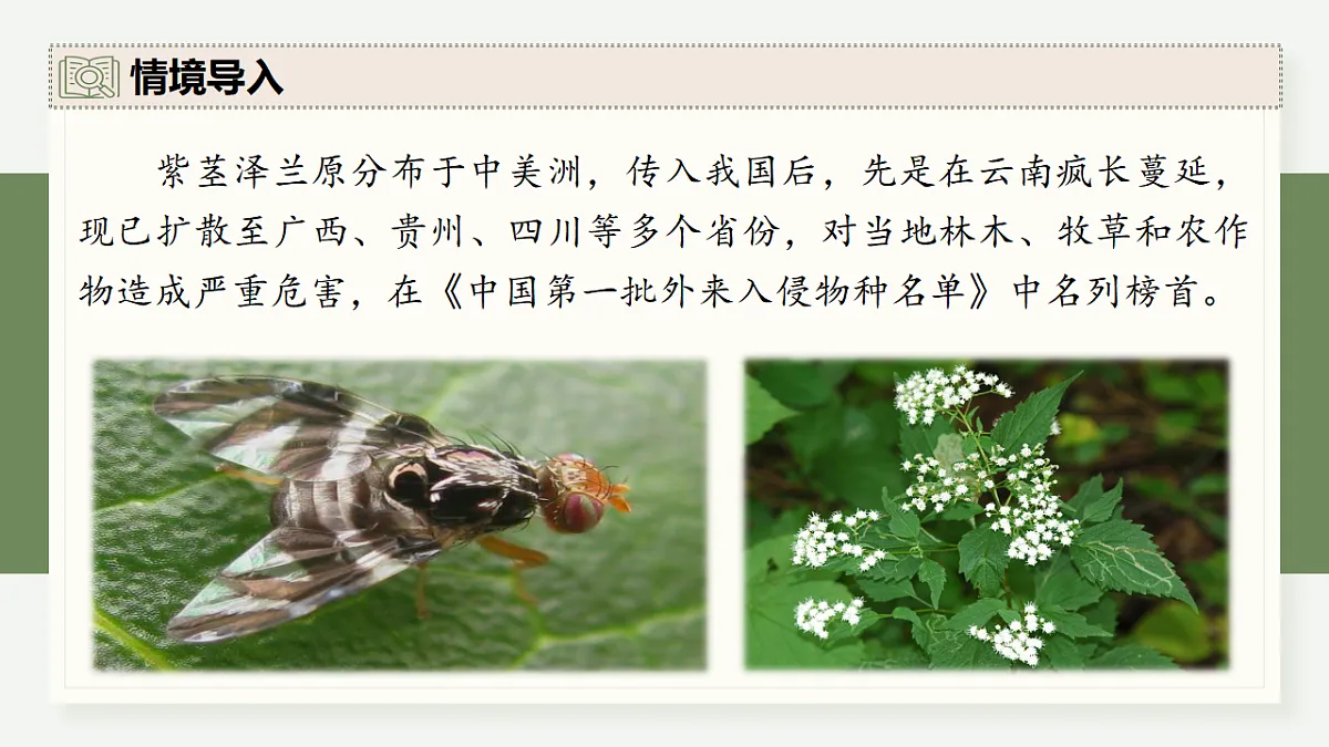 17282434第3页