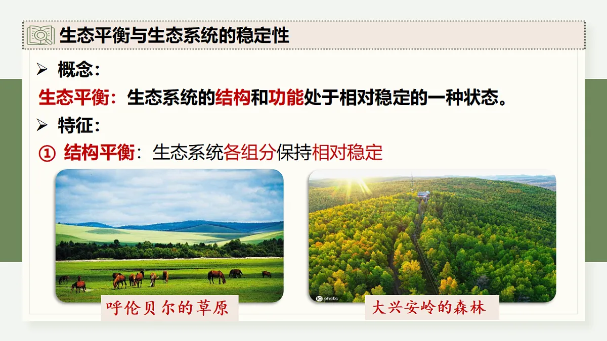 17282434第5页