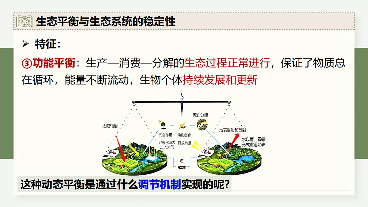 17282434第7页