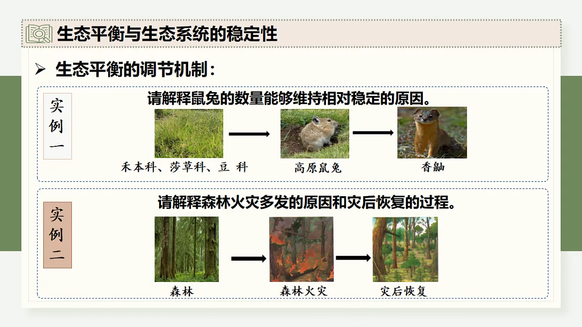 17282434第8页