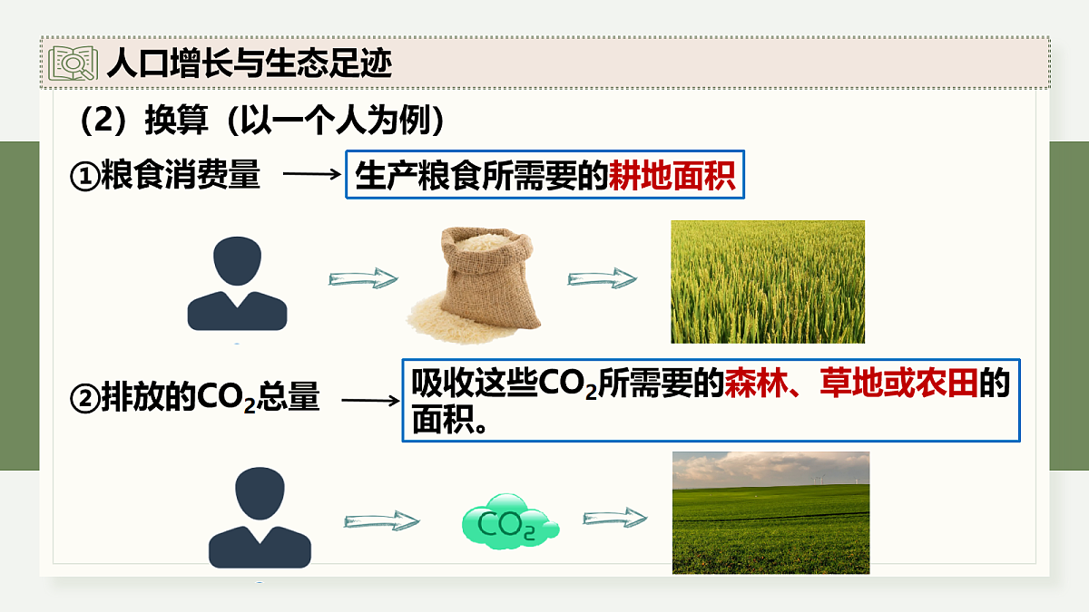 17282435第8页