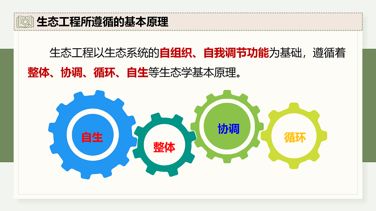 17282437第8页