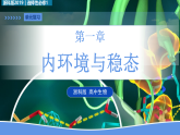 第一章 内环境与稳态（复习课件） -2025-2026学年高中生物选择性必修1（浙科版2019）