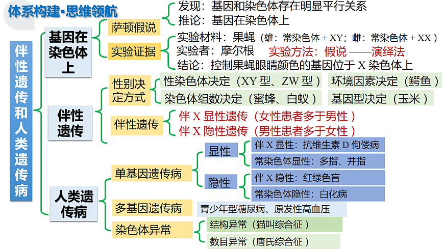 17282630第7页