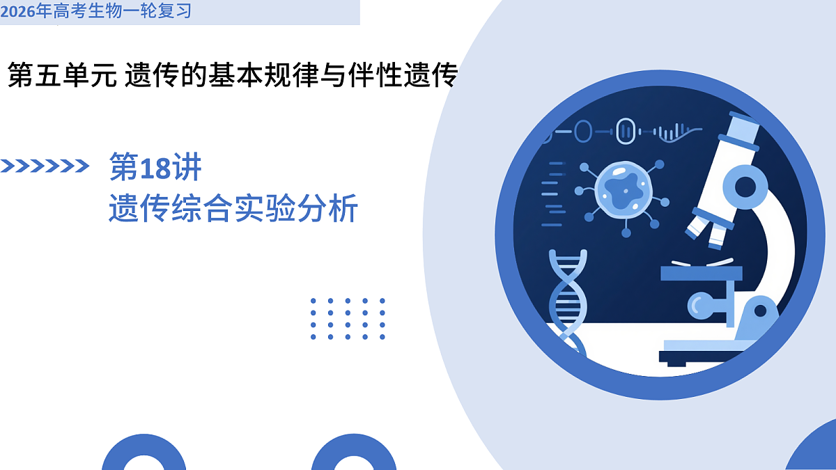 17282632第1页