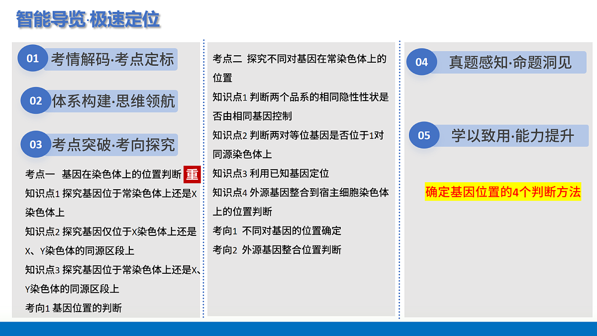 17282632第2页