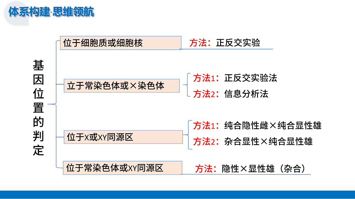 17282632第7页