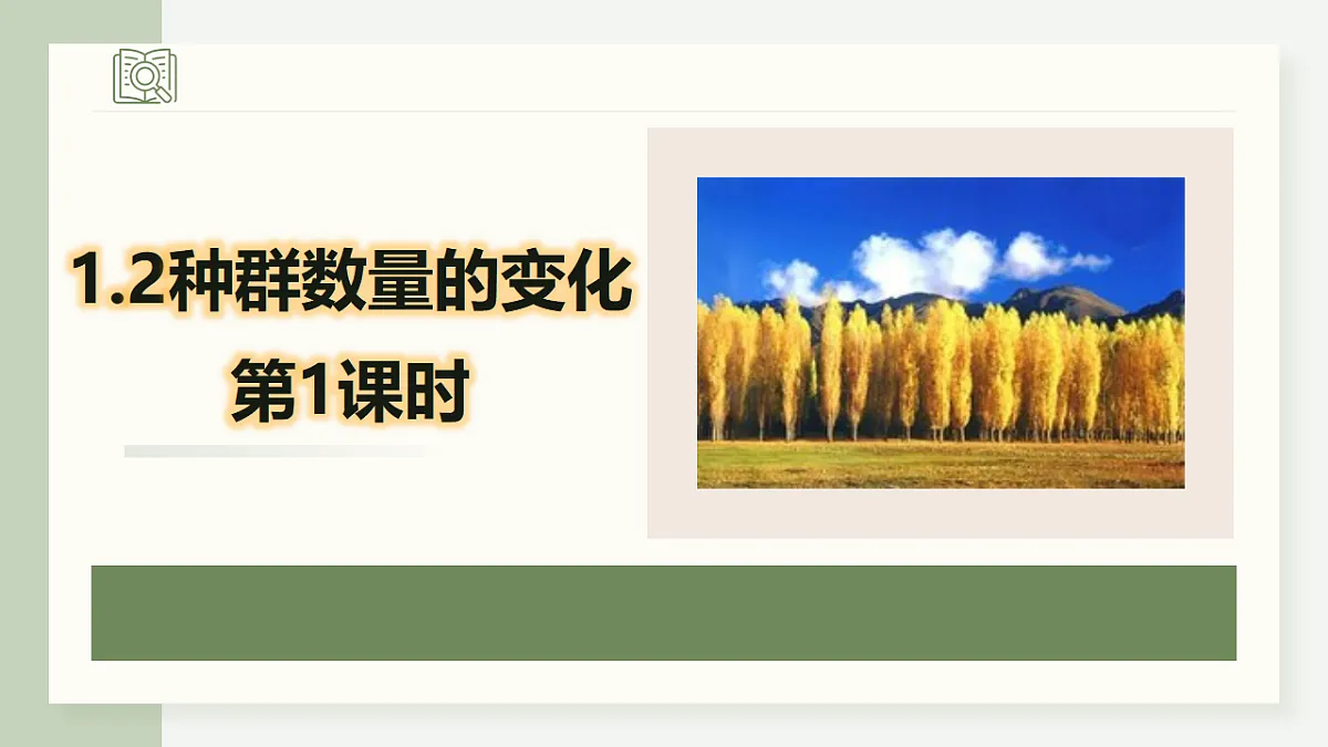 17282706第1页