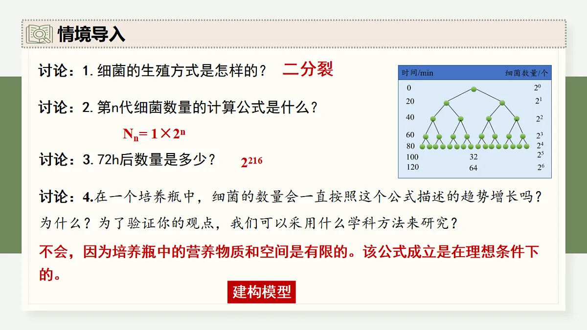 17282706第4页