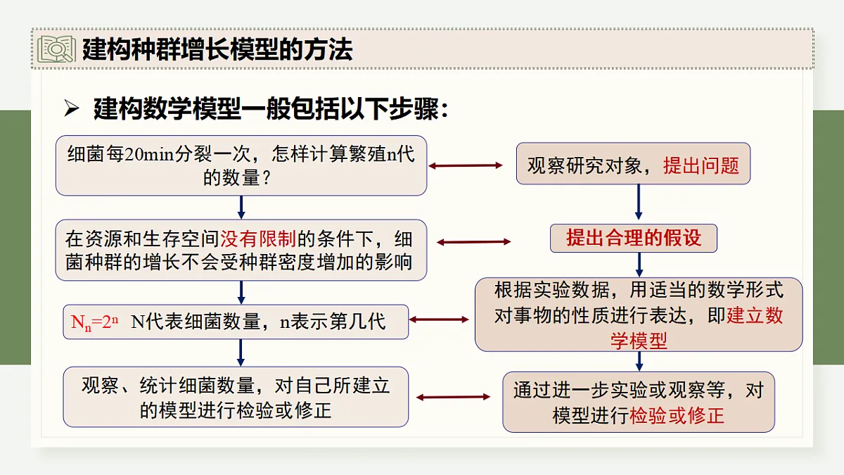 17282706第6页
