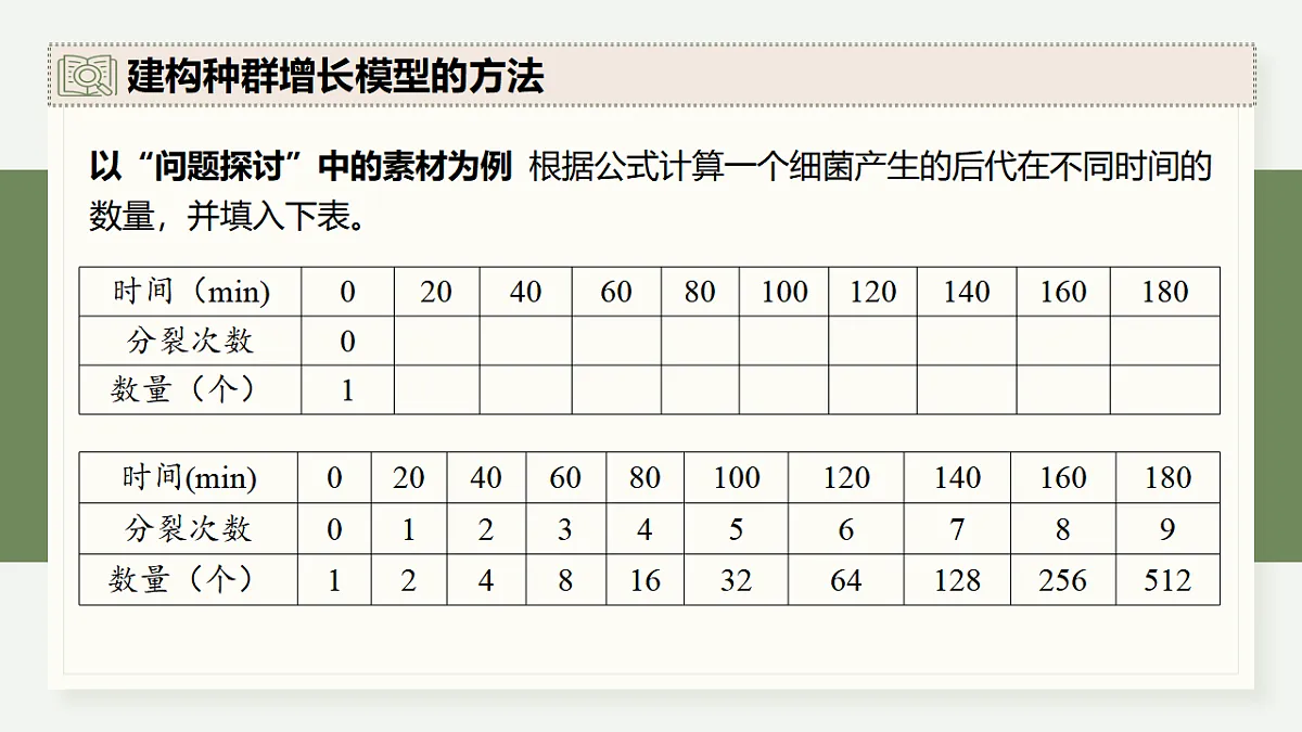 17282706第7页