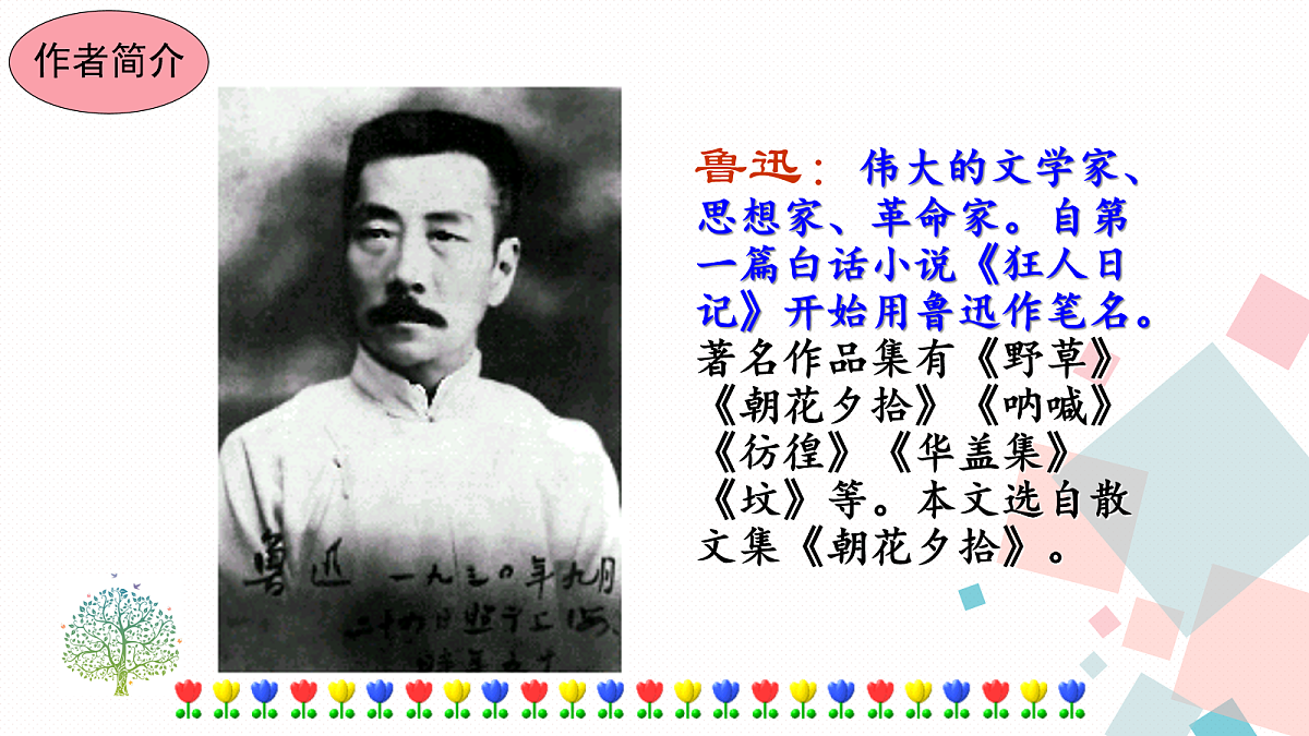 17282970第3页