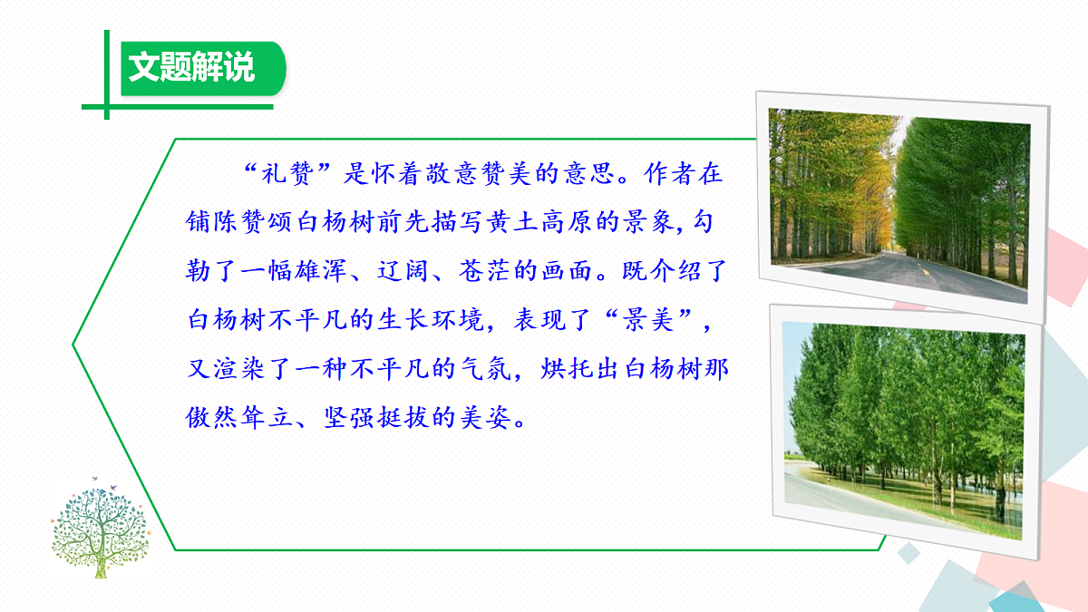 17282984第7页