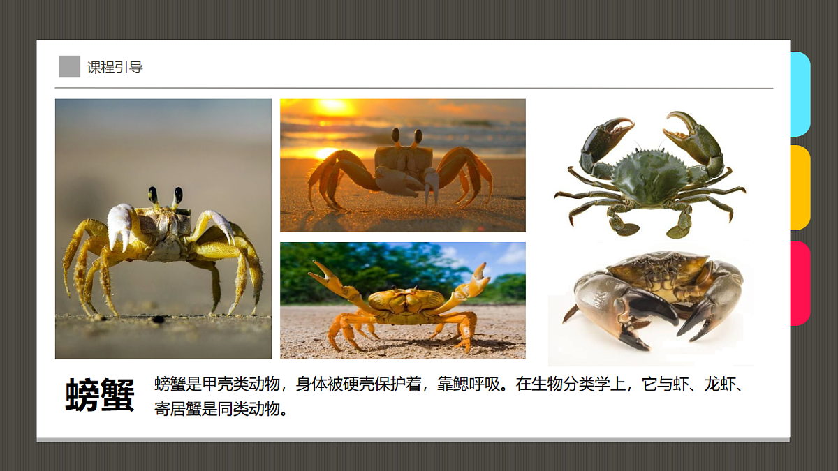 17283247第5页