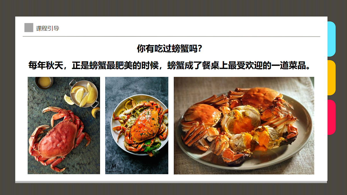 17283247第6页