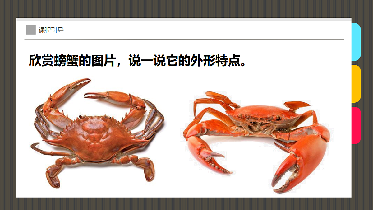 17283247第7页