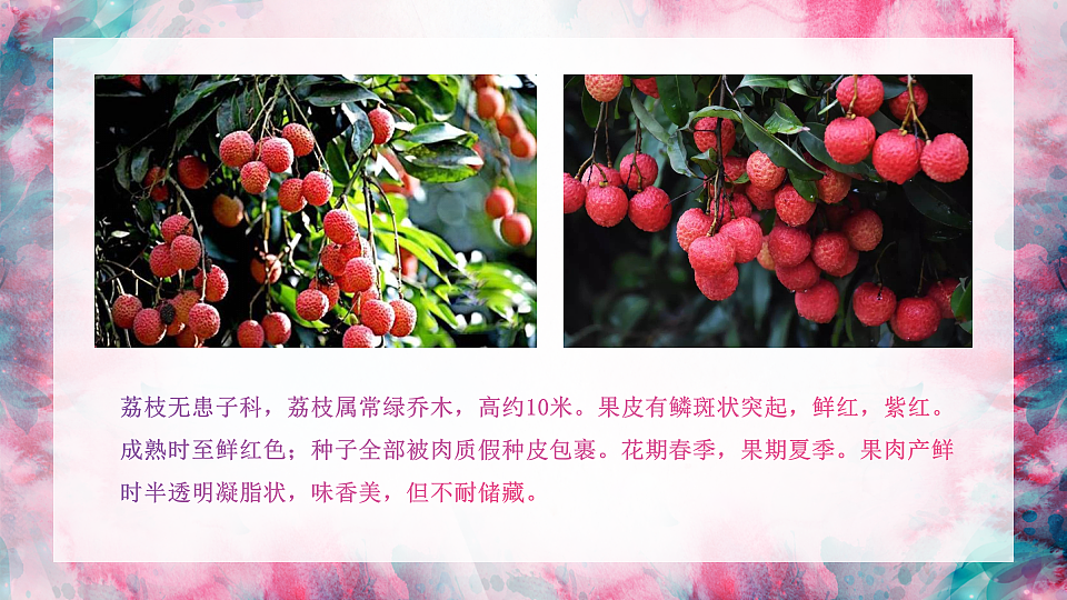 17283249第4页