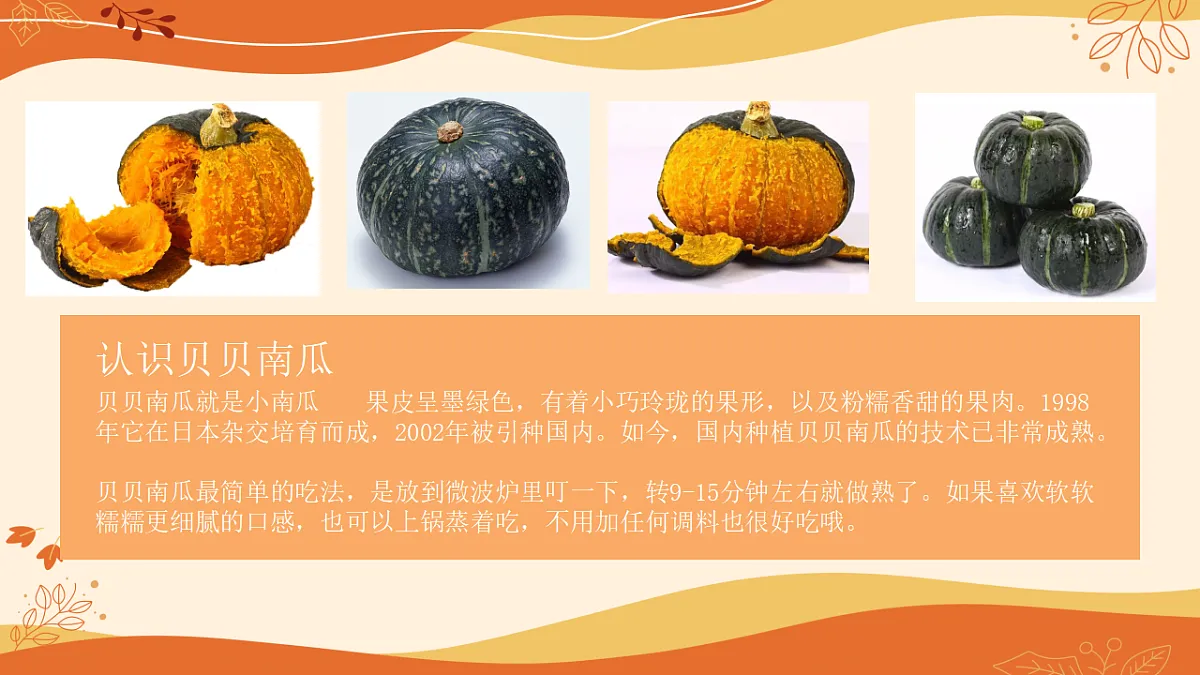 17283252第3页