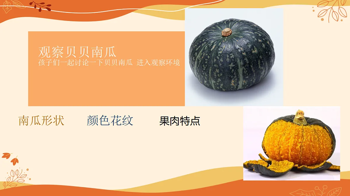17283252第5页
