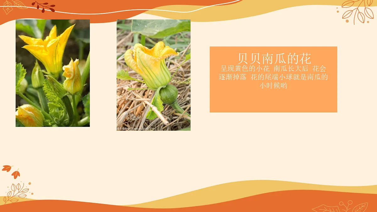 17283252第7页