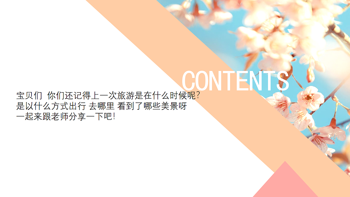 17283254第2页