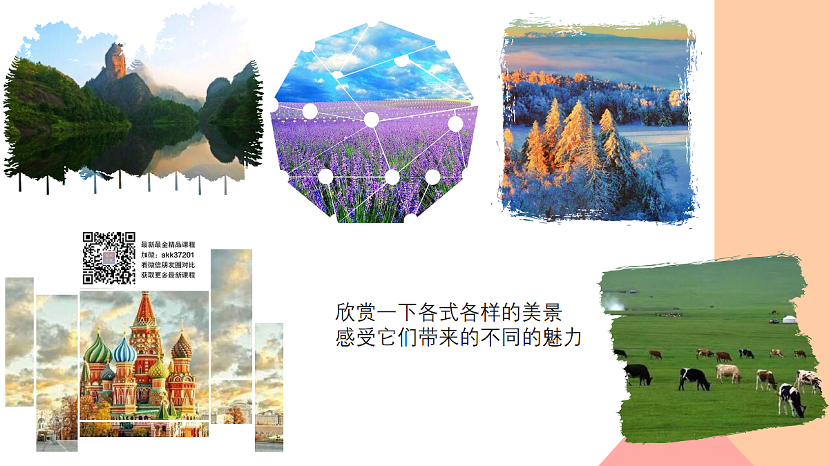 17283254第4页