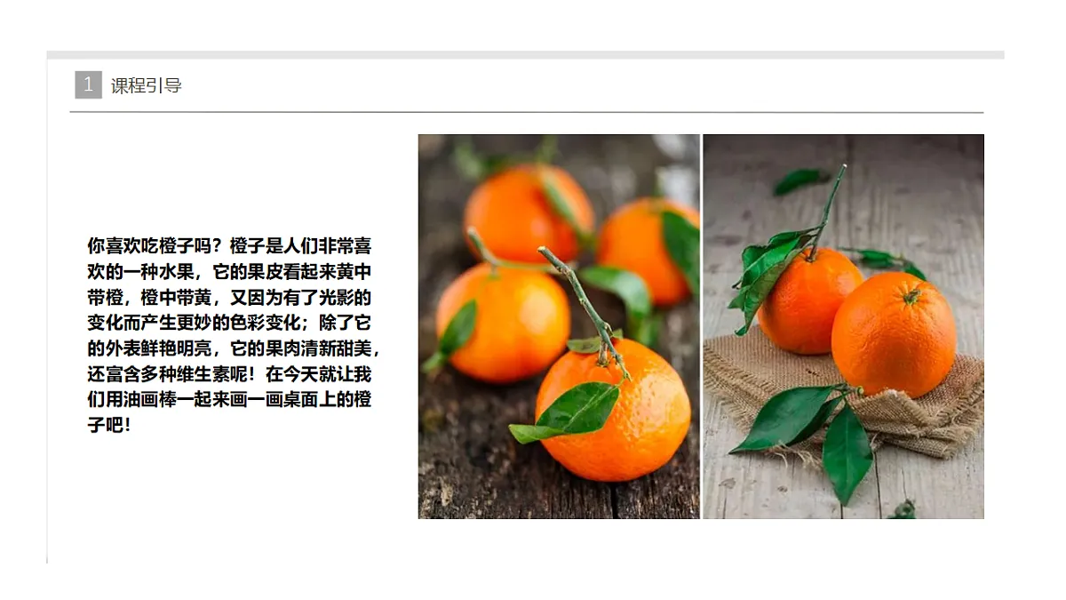 17283255第7页