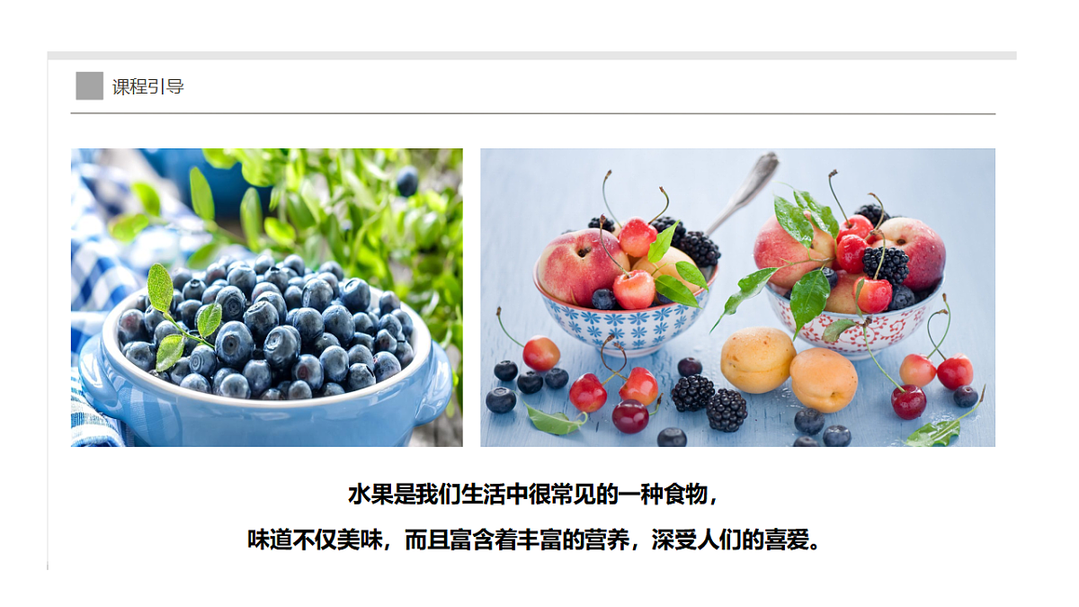 17283257第3页