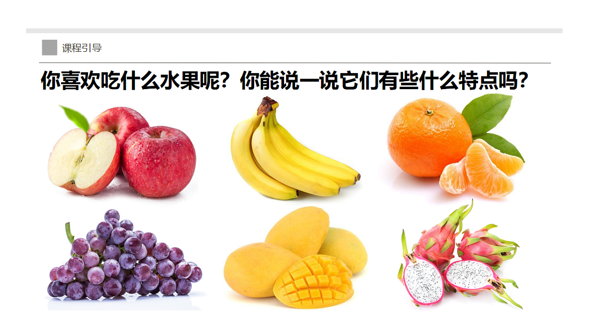 17283257第5页