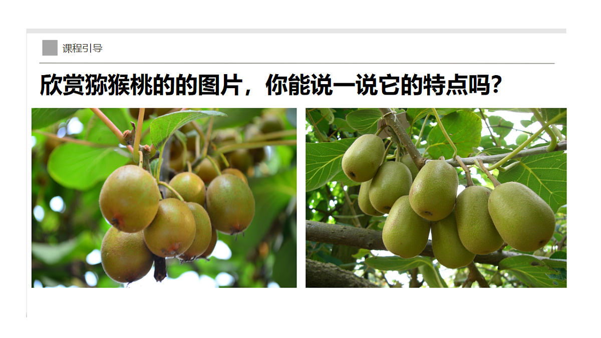 17283257第8页