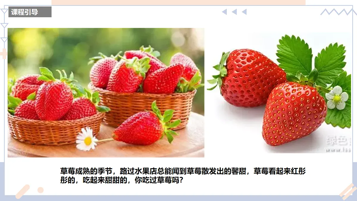 17283258第3页