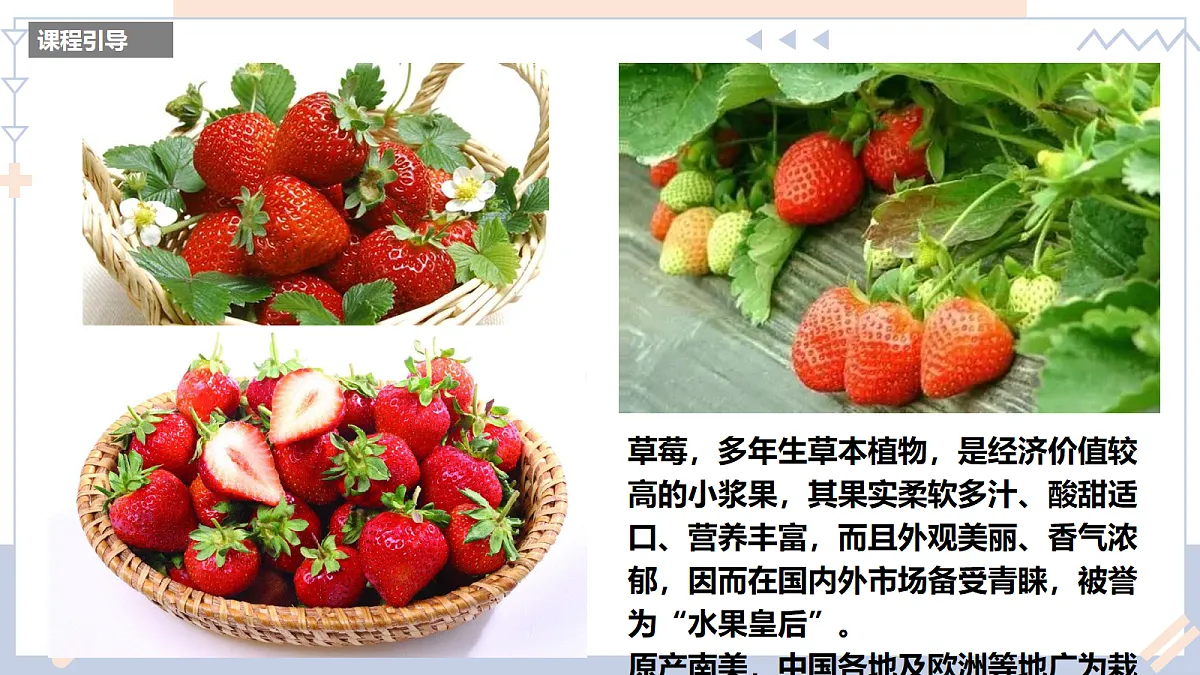 17283258第4页