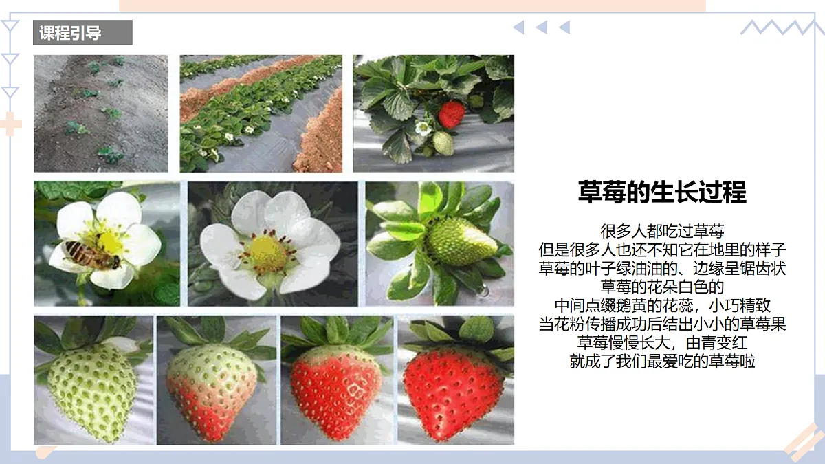 17283258第5页