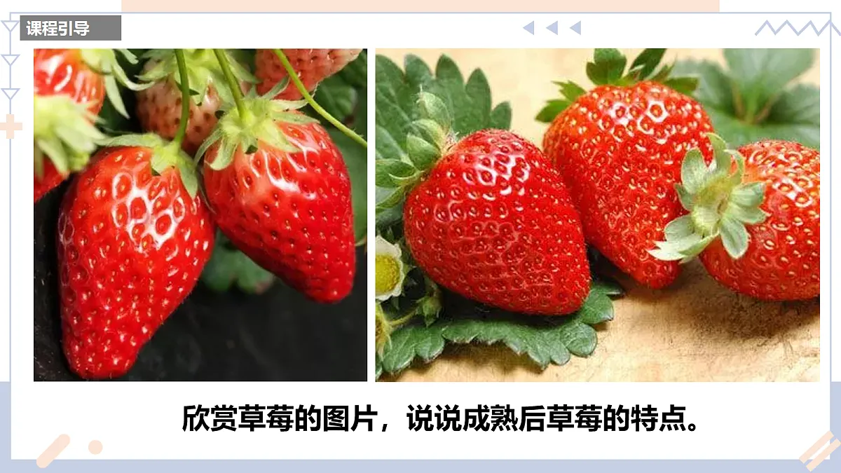 17283258第6页
