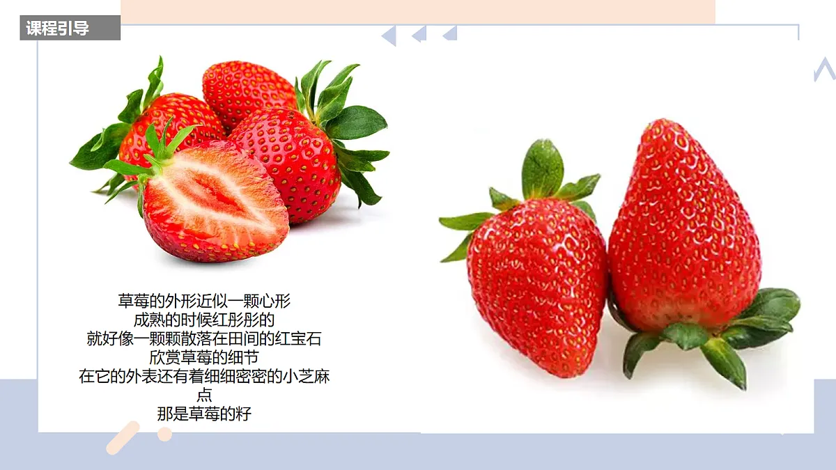 17283258第7页