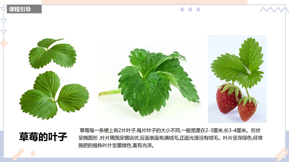 17283258第8页