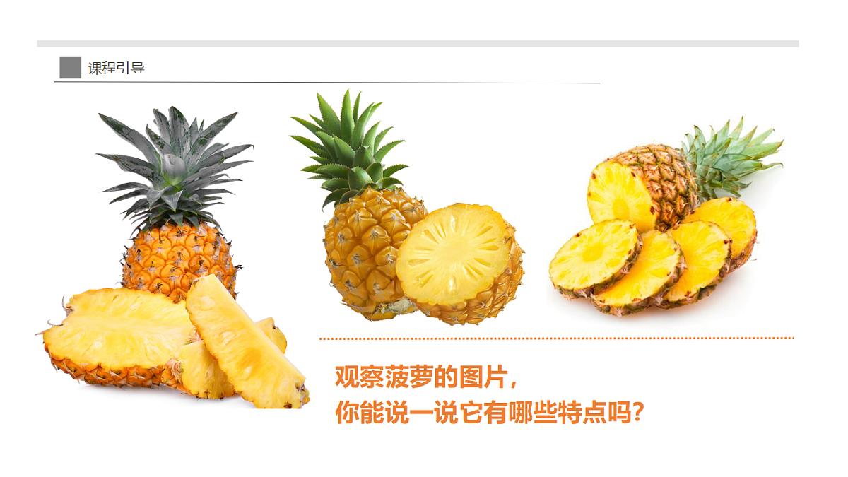 17283259第6页