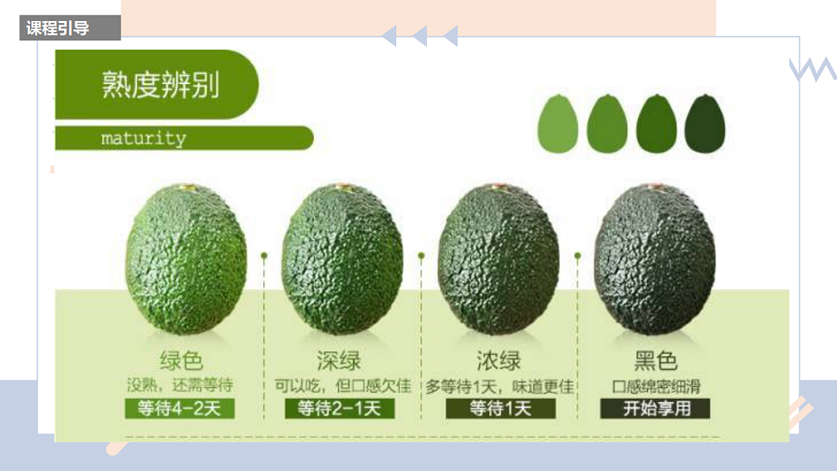 17283260第6页