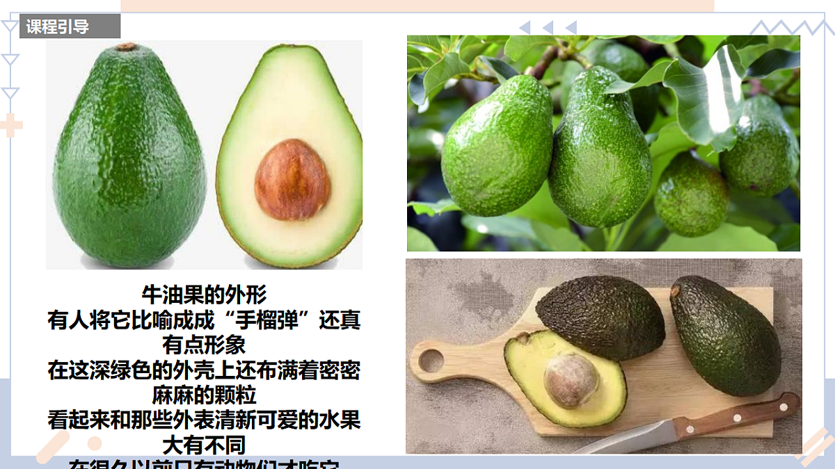17283260第7页