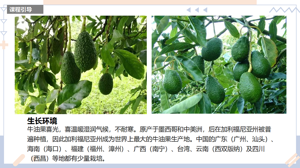 17283260第8页