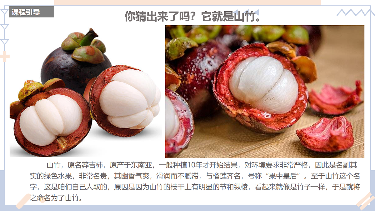 17283261第5页
