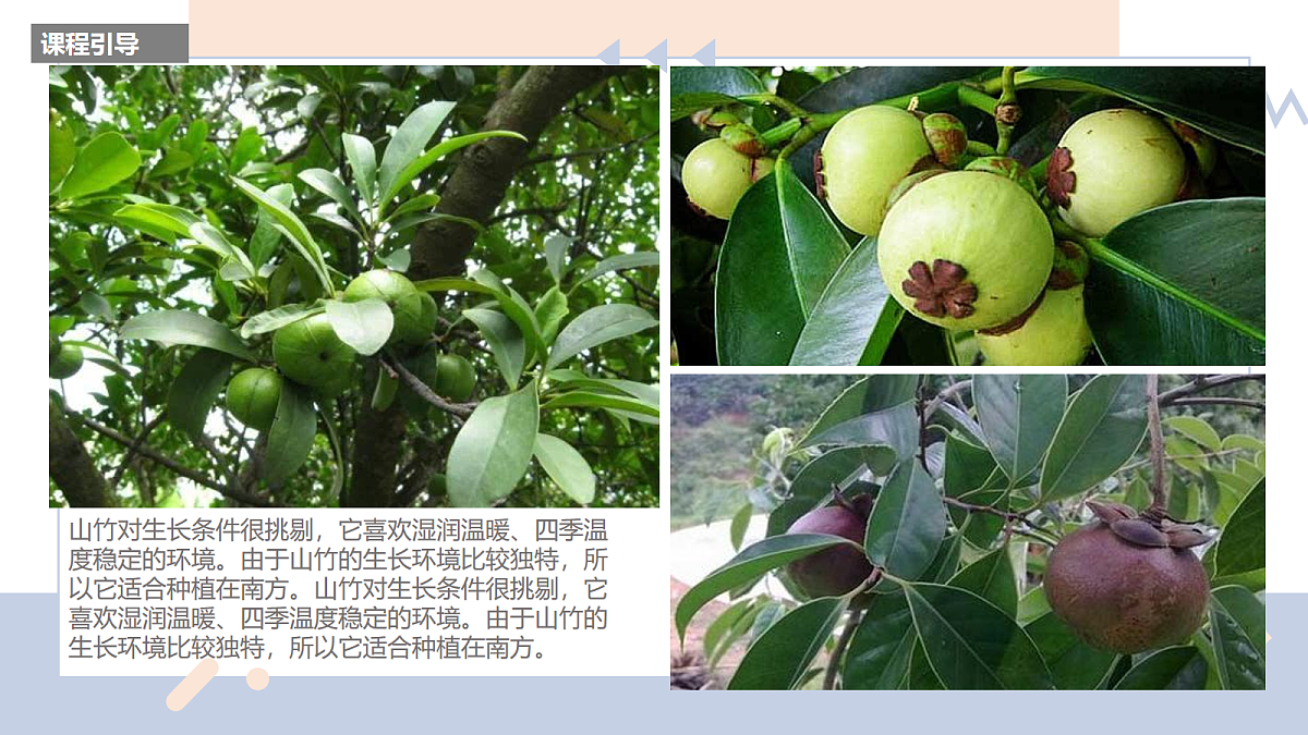 17283261第6页