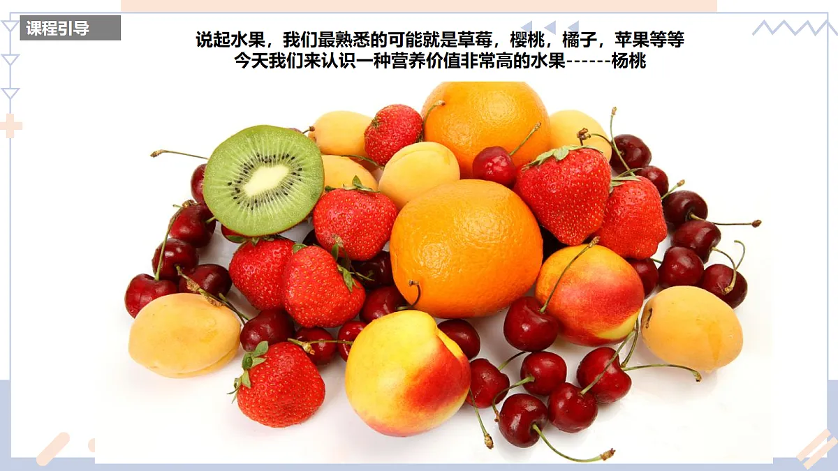 17283262第3页