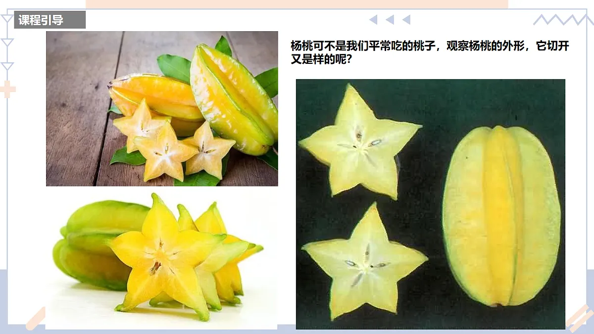 17283262第4页