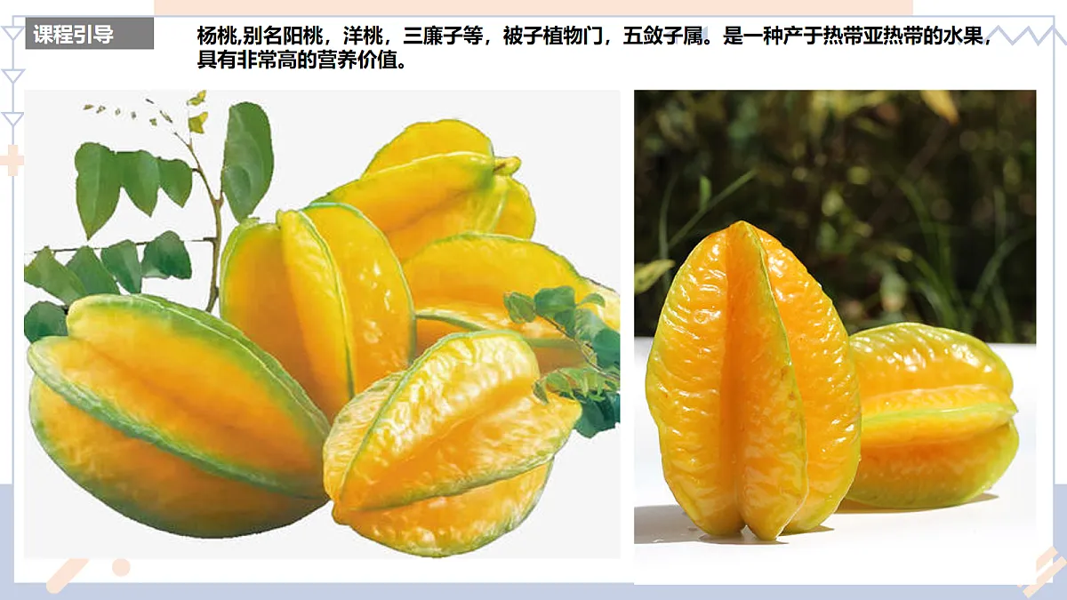 17283262第5页