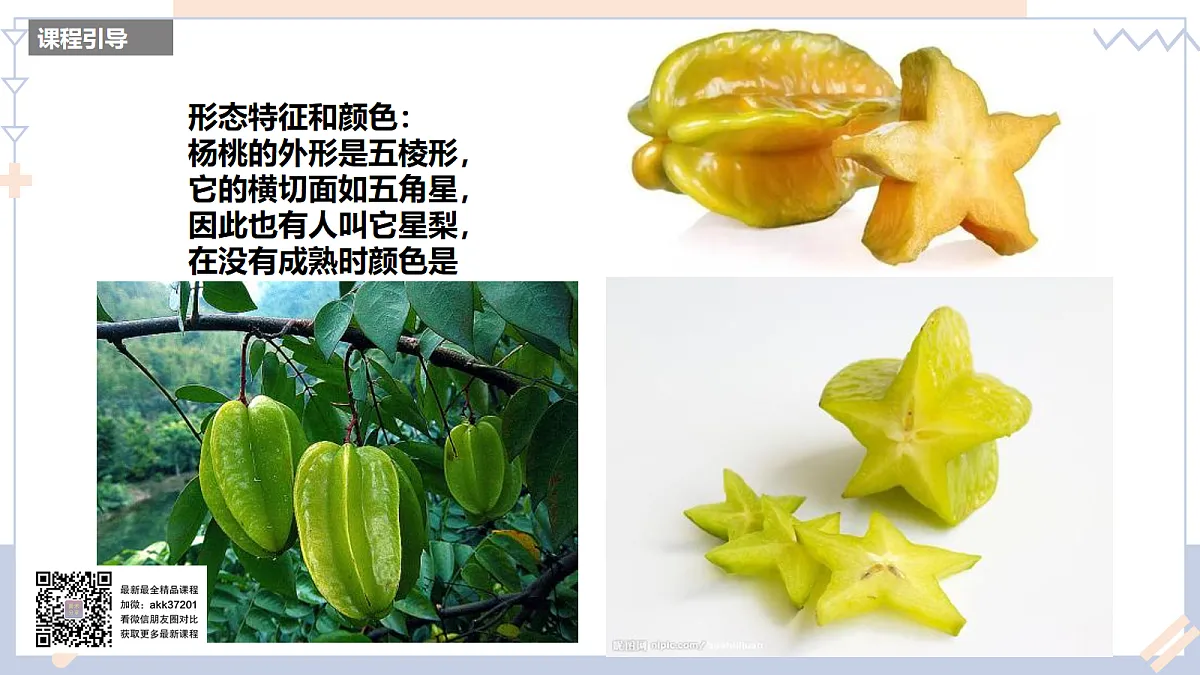 17283262第8页
