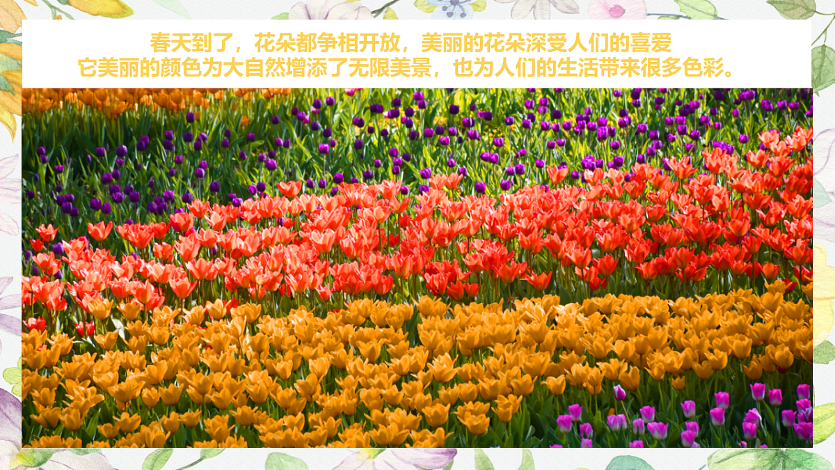 17283270第4页
