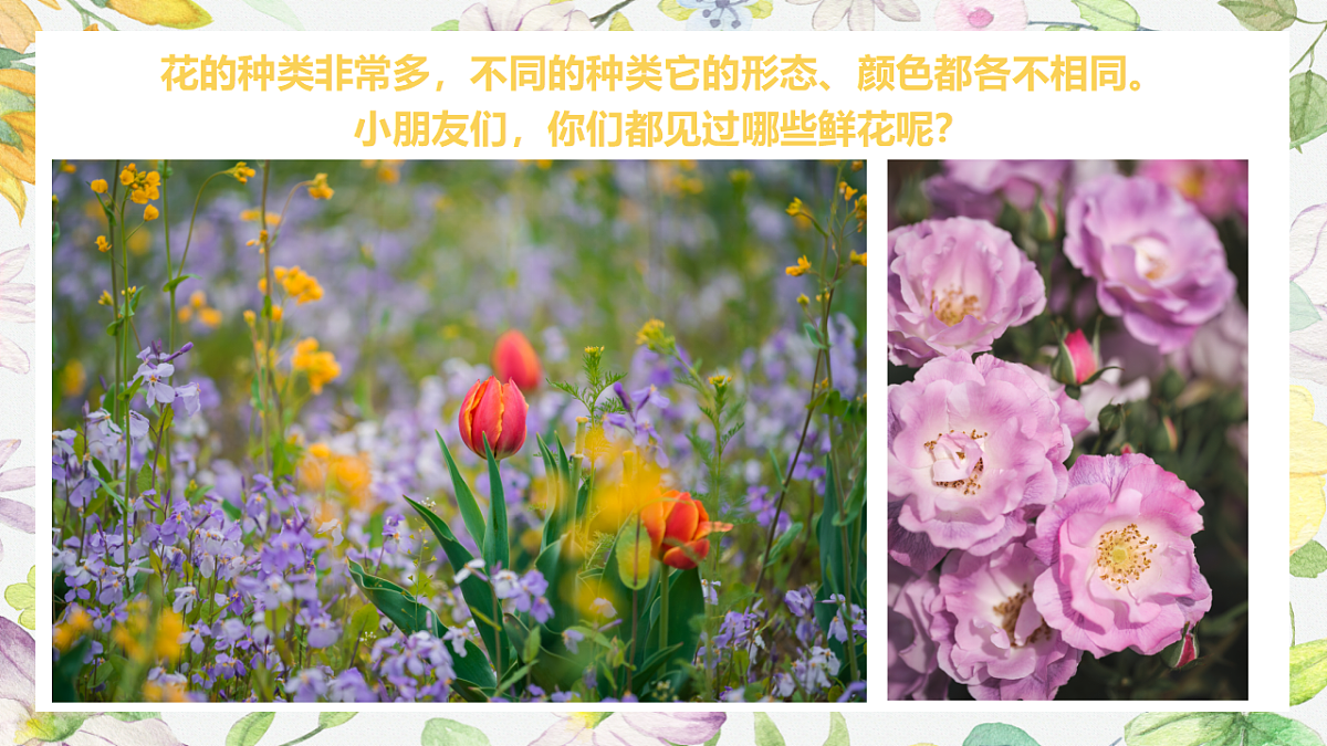 17283270第5页